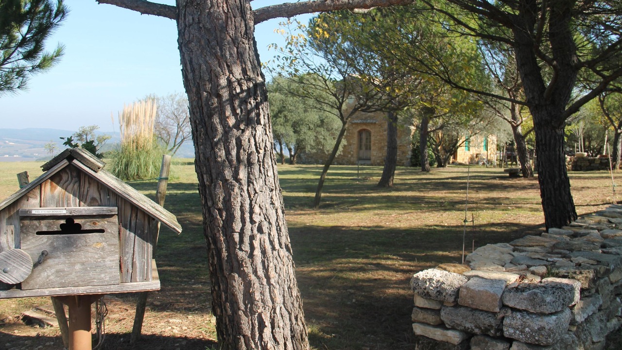 Photo of Outdoor in Saint-Andre-d'Olerargues