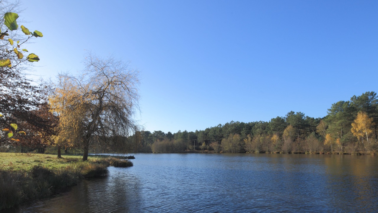 Photo of Outdoor in Ambillou