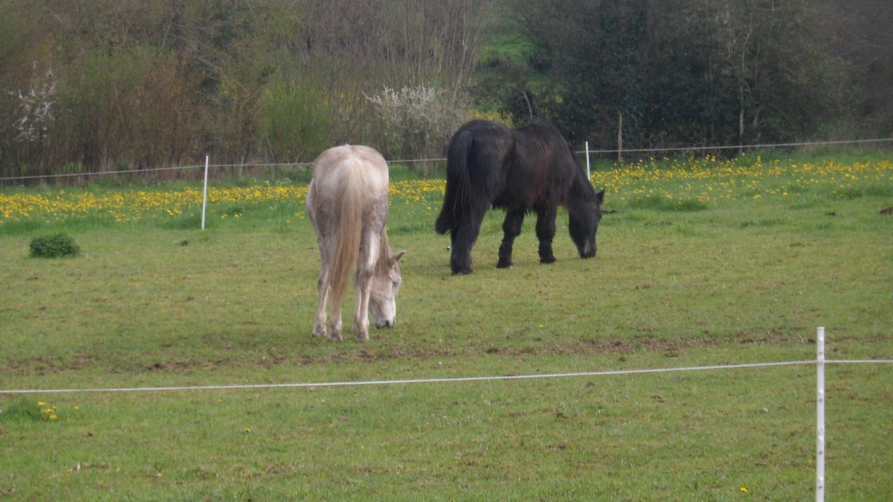 Photo of Others in Moncoutant