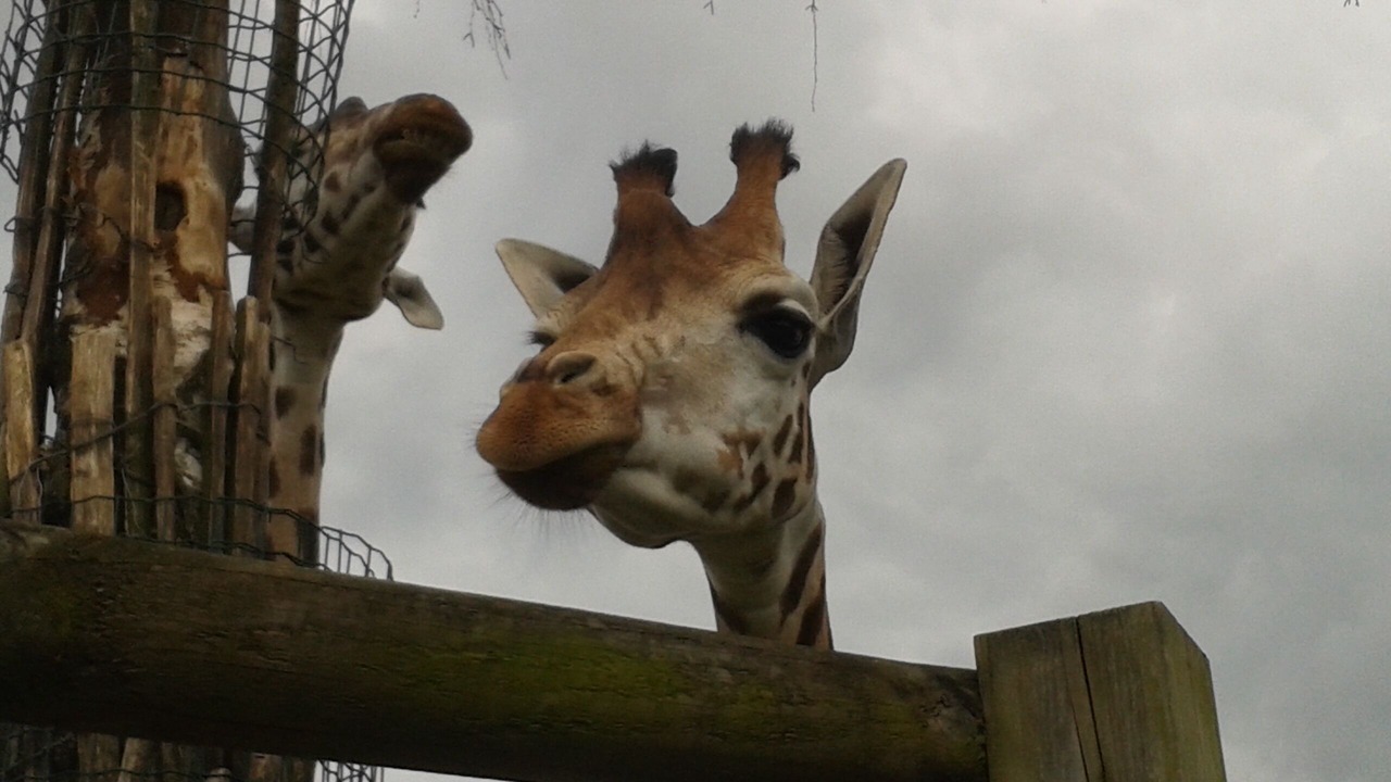 Photo of Others in Moncoutant