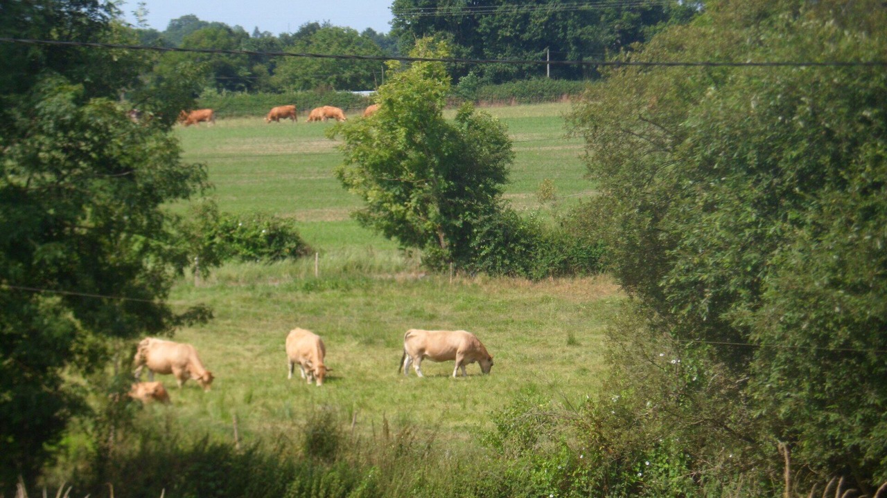 Photo of Others in Moncoutant