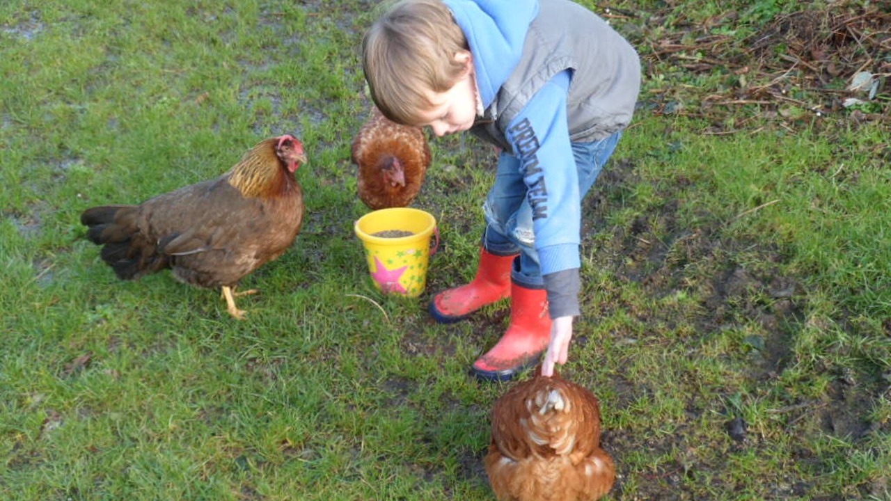 Photo of Others in Moncoutant