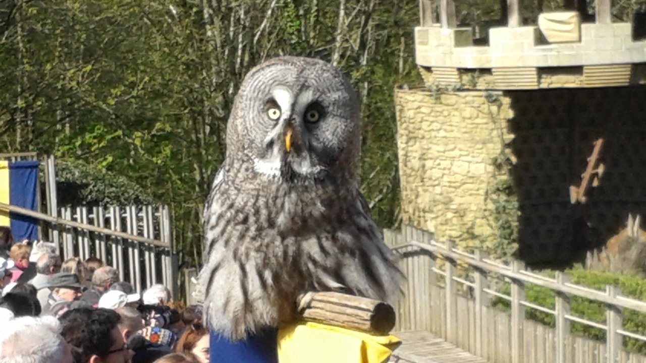 Photo of Others in Moncoutant