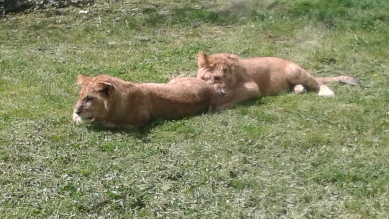 Photo of Others in Moncoutant