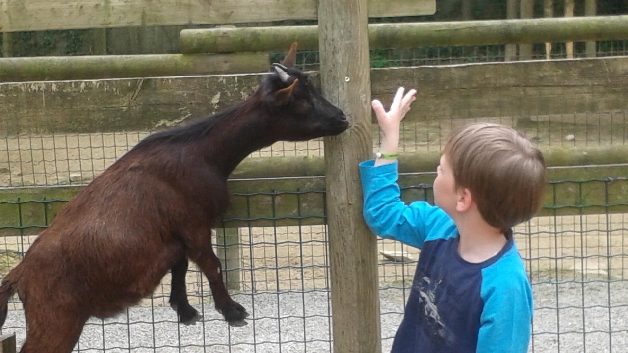 Photo of Others in Moncoutant