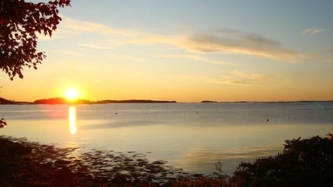 Photo of Others in Spruce Head