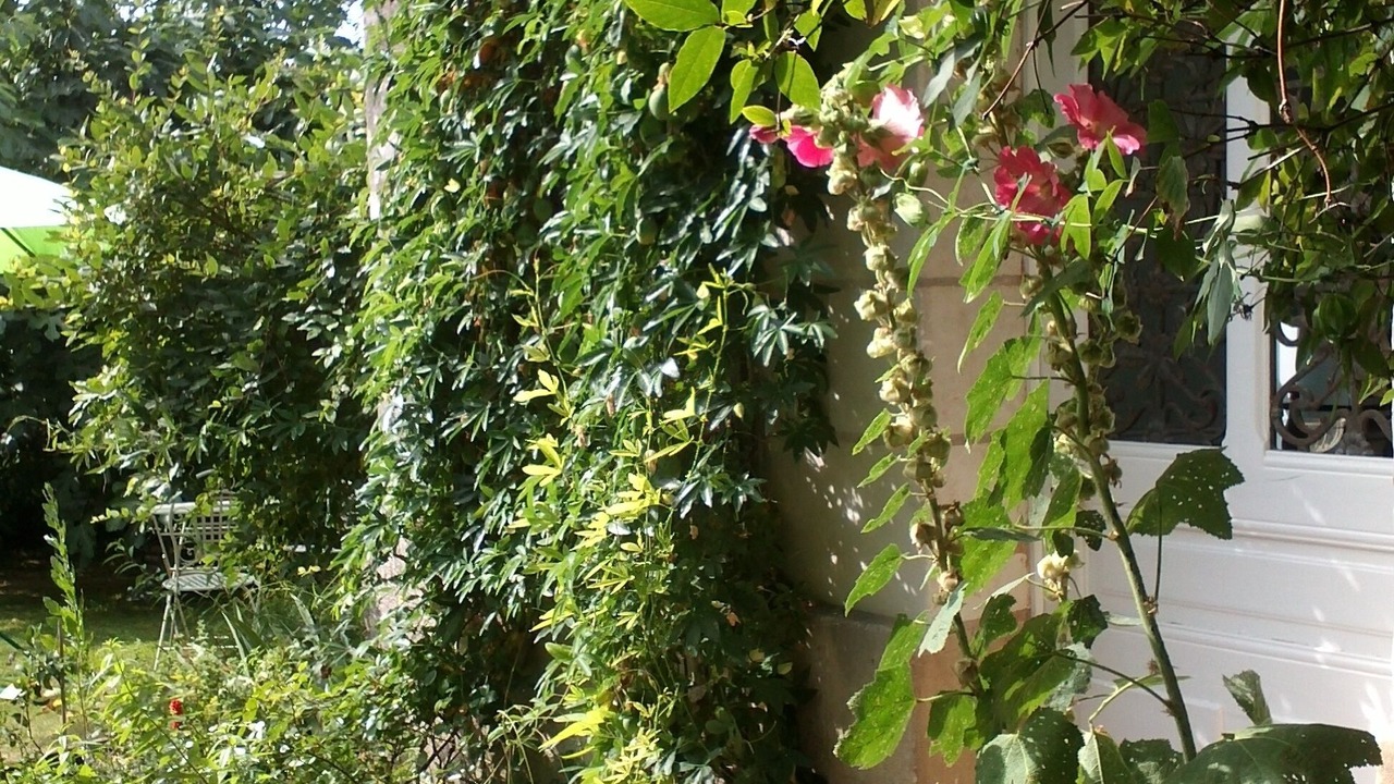 Photo of Outdoor in Loches