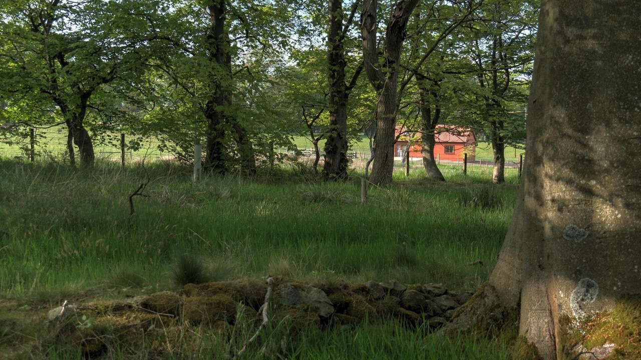 Photo of Outdoor in Kirknewton