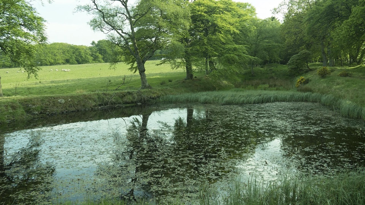 Photo of Outdoor in Kirknewton