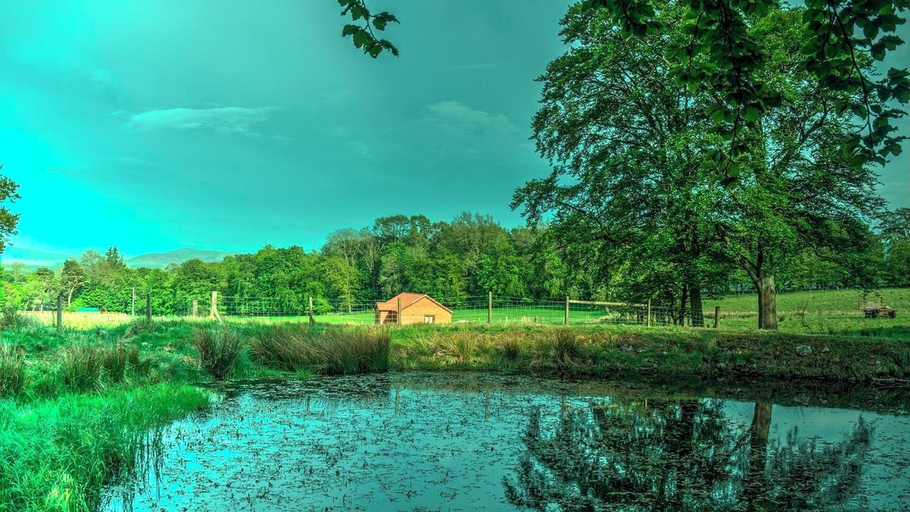 Photo of Others in Kirknewton