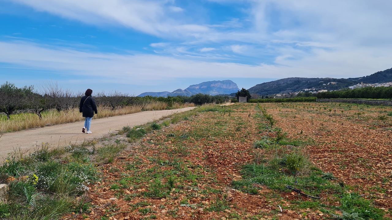 Photo of Others in Orba