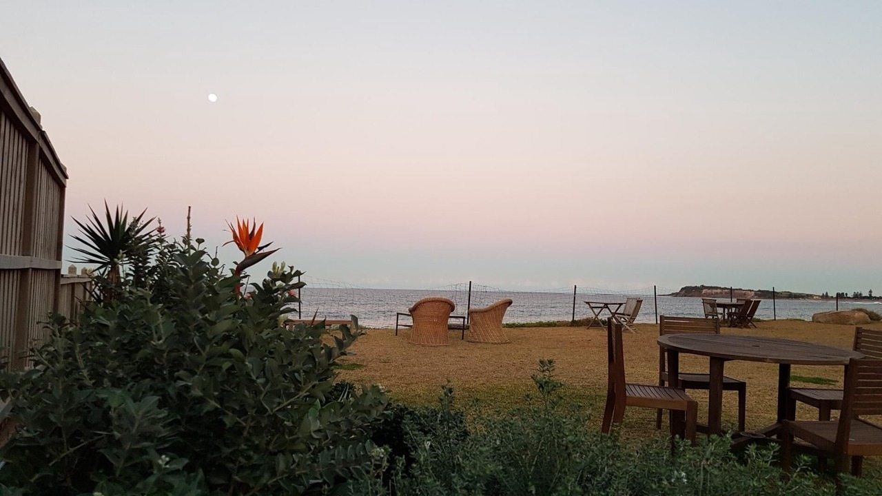 Photo of Others in Narrabeen