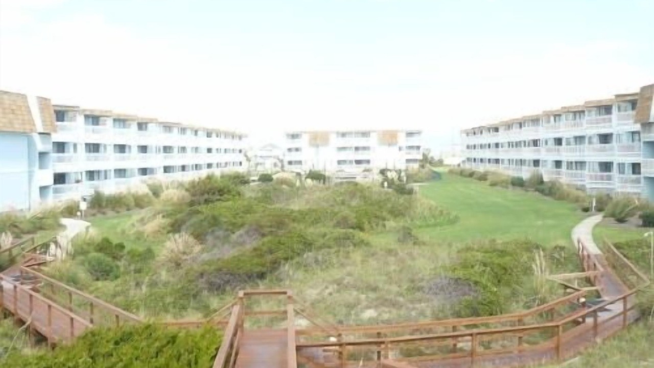Photo of Others in Morehead City