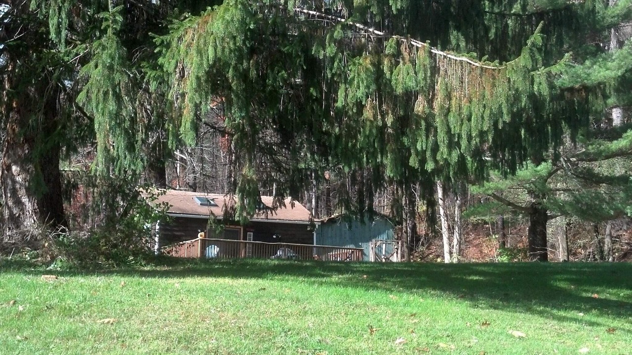 Photo of Outdoor in Shandaken