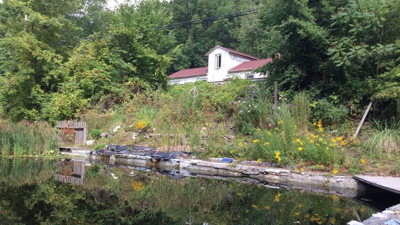 Photo of Outdoor in Shandaken