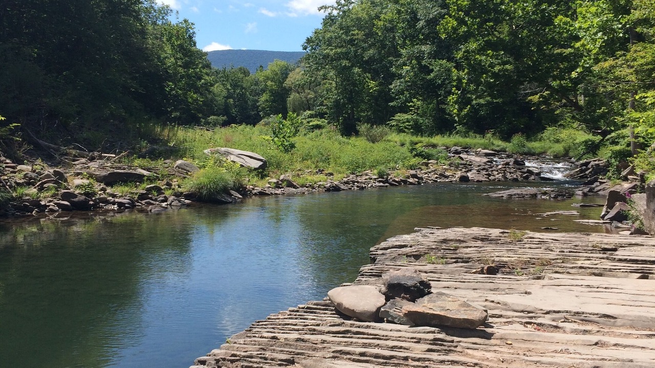 Photo of Others in Shandaken