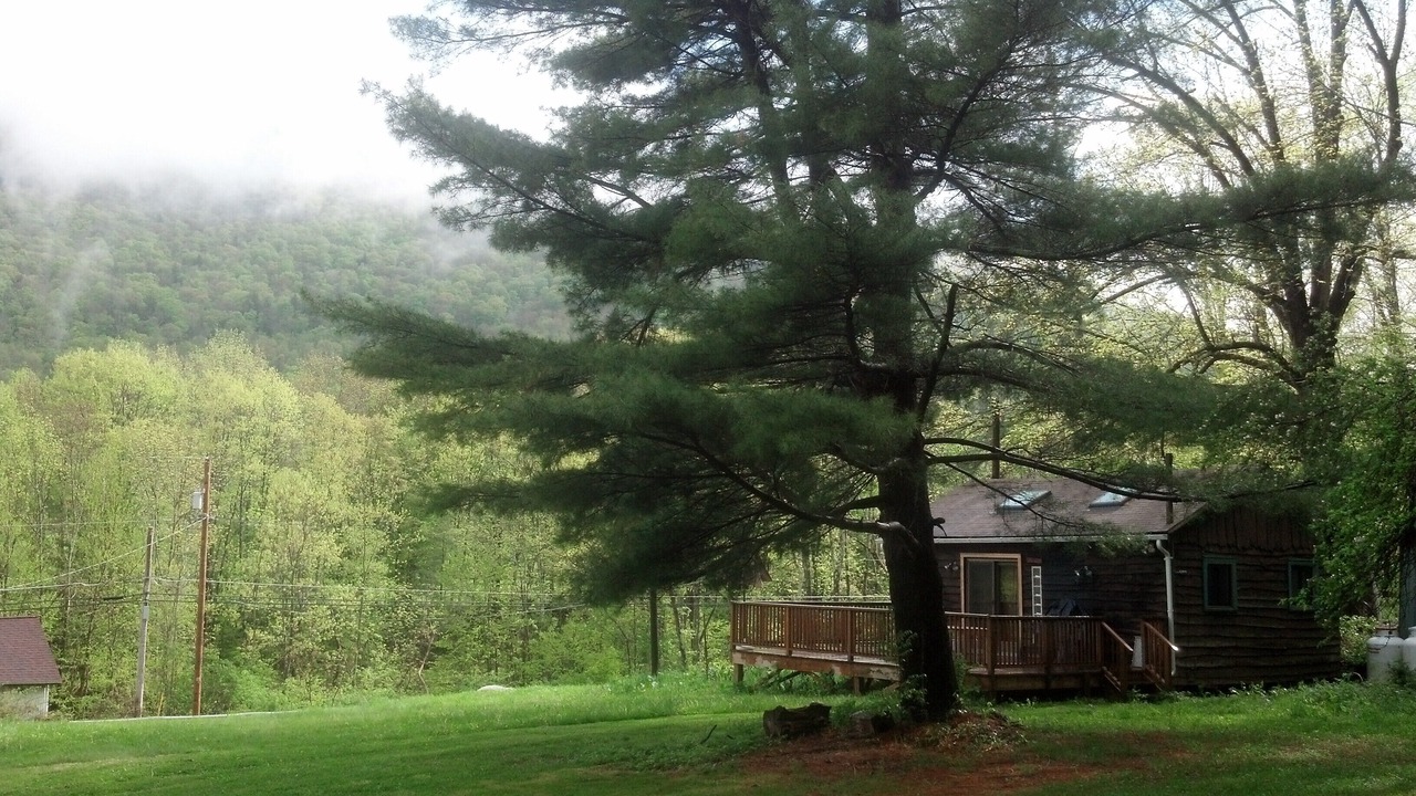 Photo of Outdoor in Shandaken