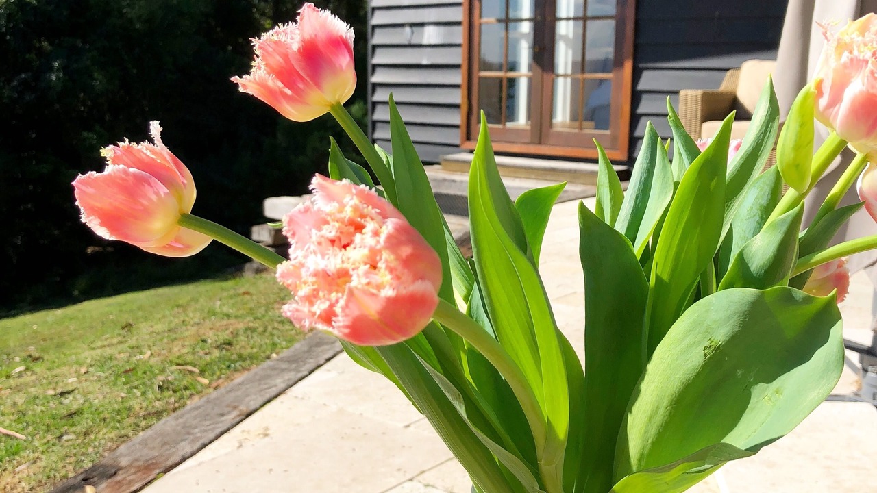 Photo of Others in Beaumont