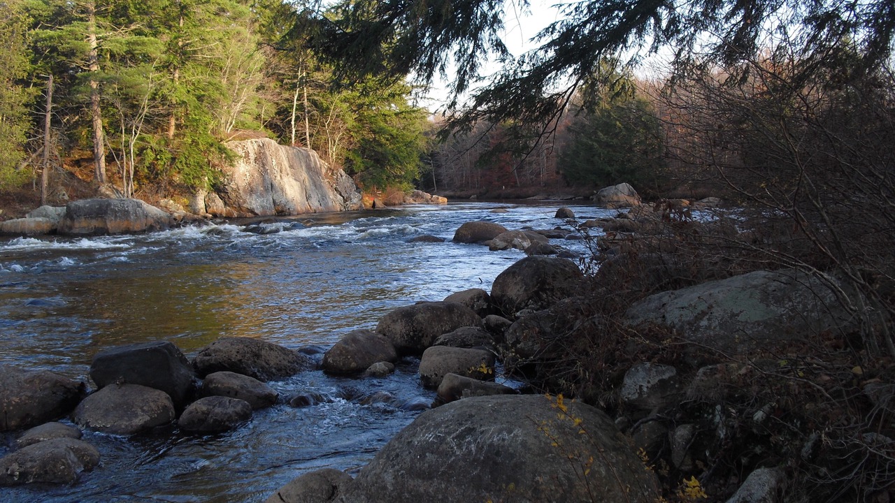 Photo of Others in Lowville