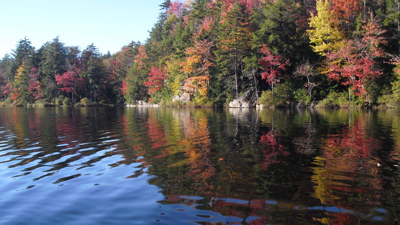 Photo of Others in Lowville