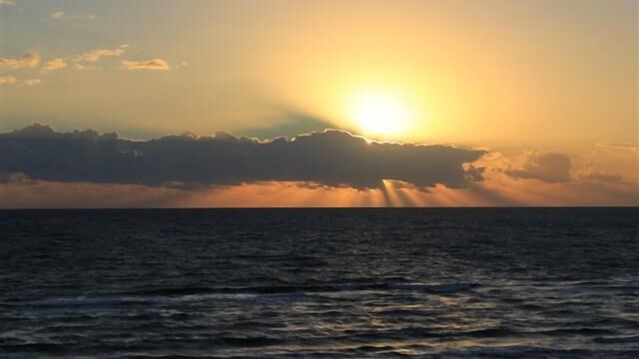 Photo of Others in South Padre Island