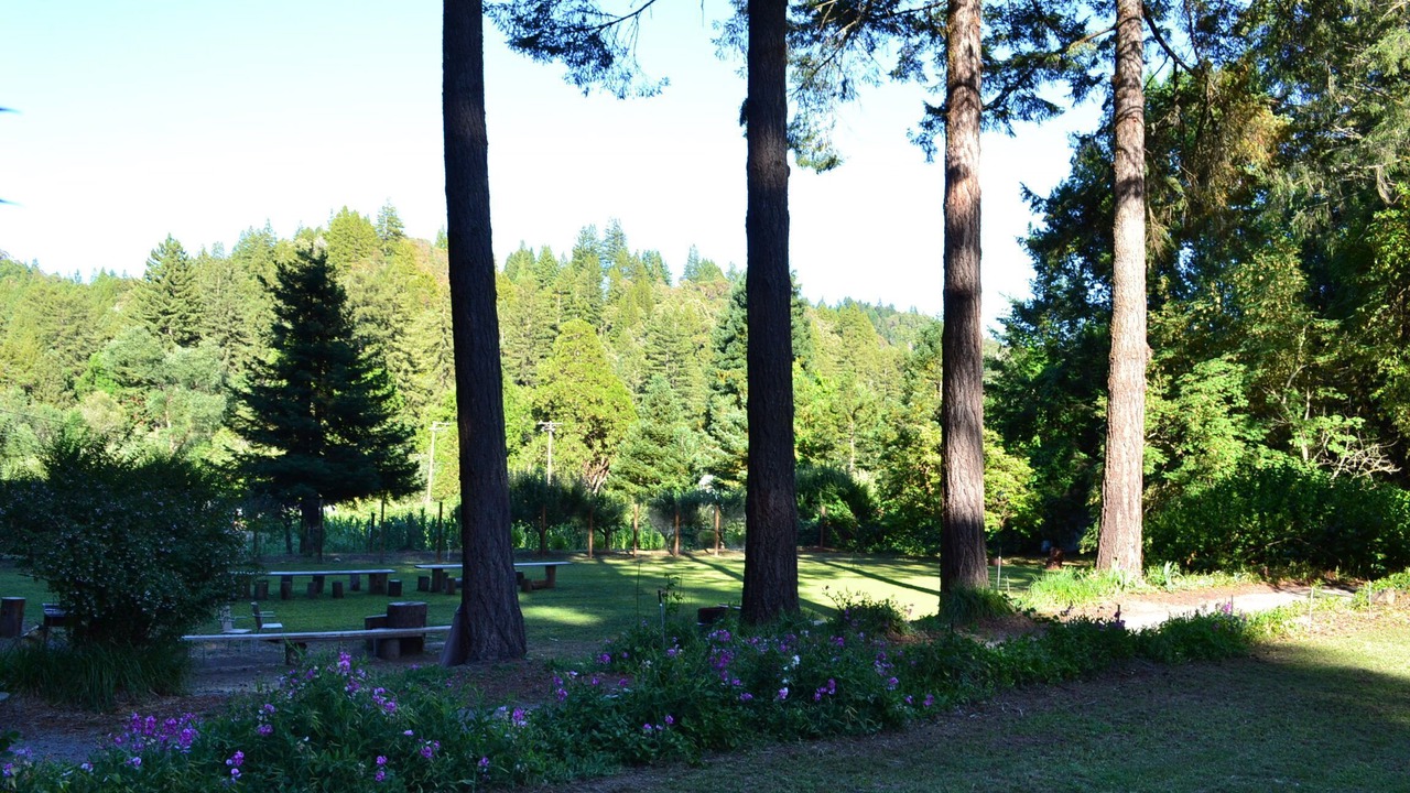 Photo of Others in Guerneville