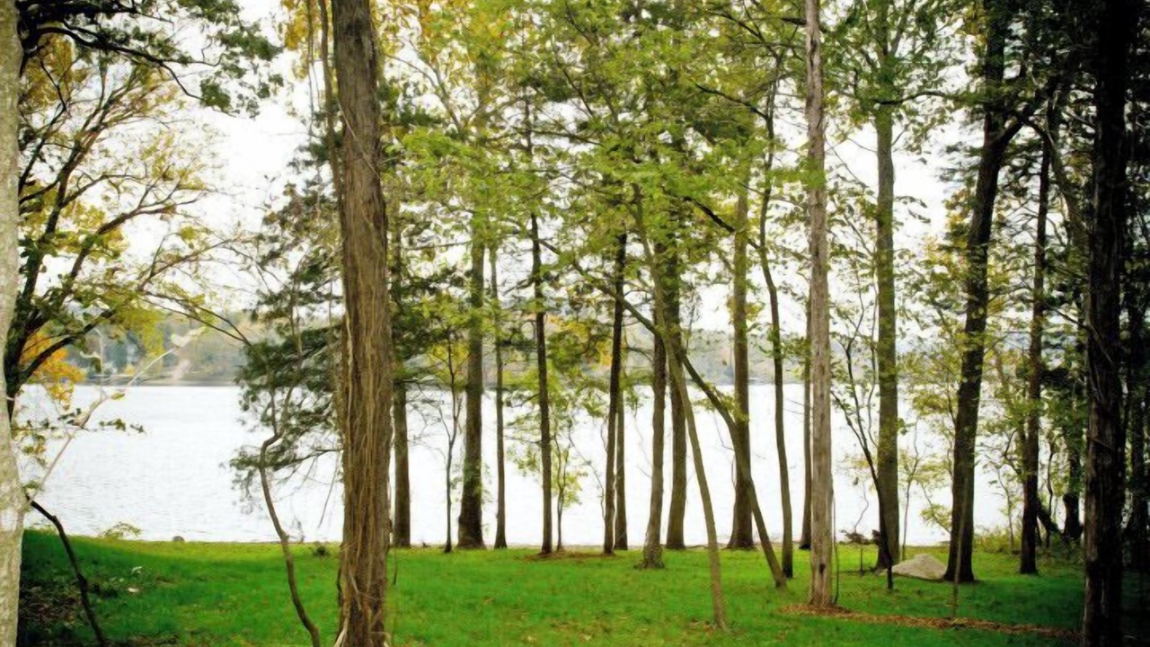 Photo of Others in Camdenton