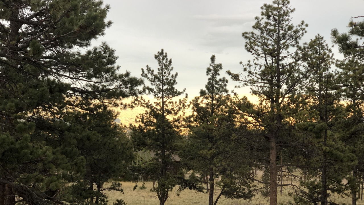 Photo of Others in Buena Vista