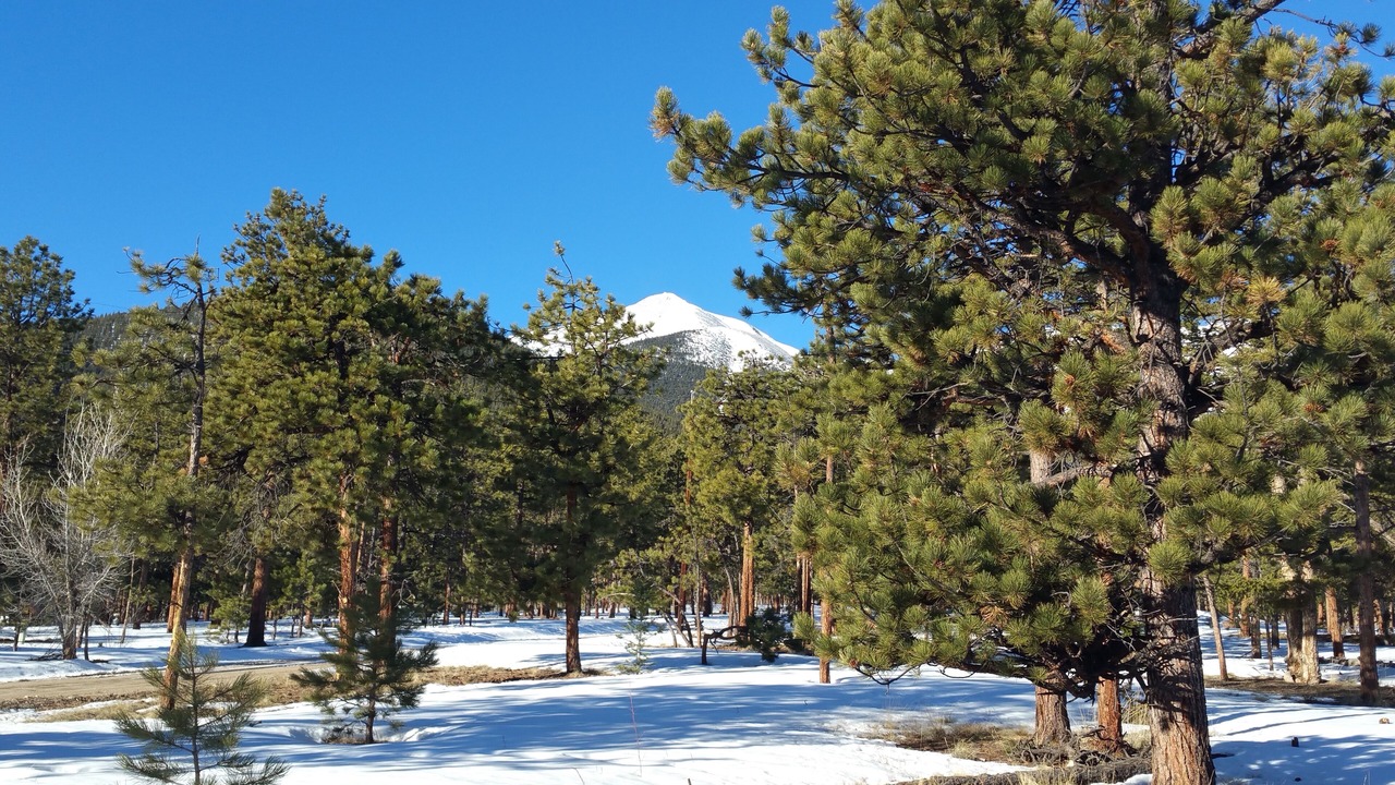 Photo of Others in Buena Vista