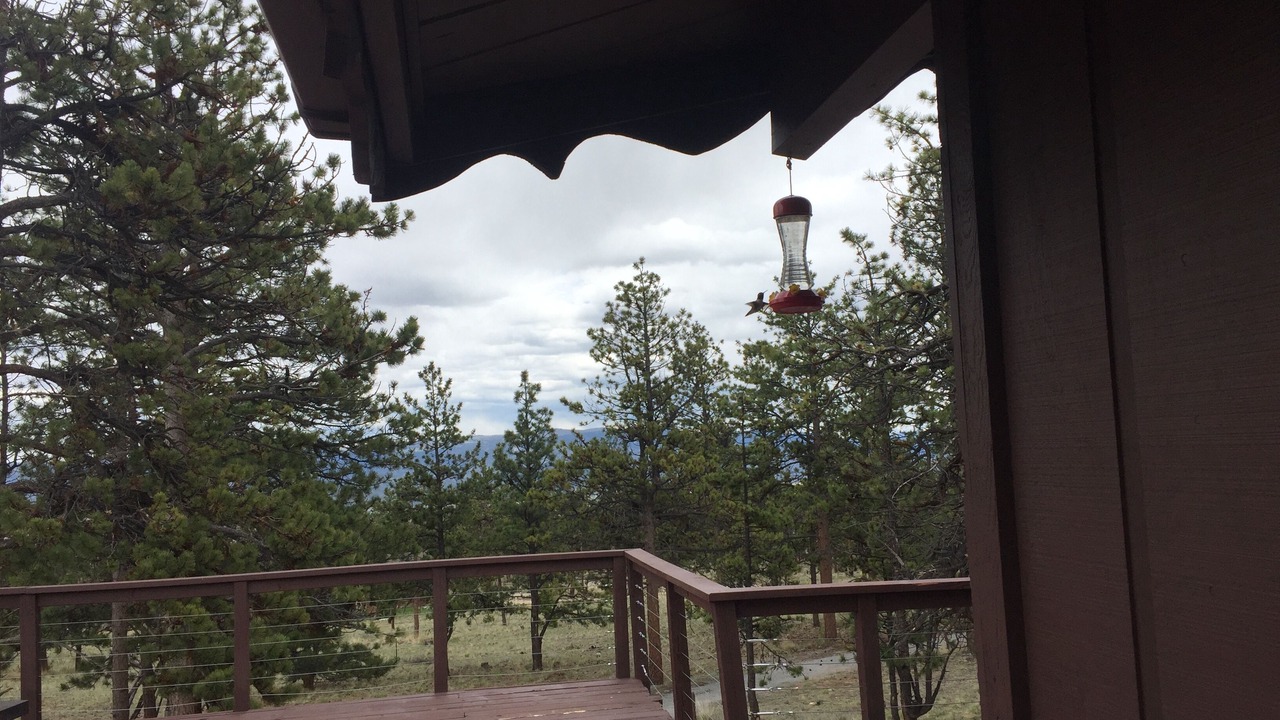 Photo of Patio Balcony in Buena Vista