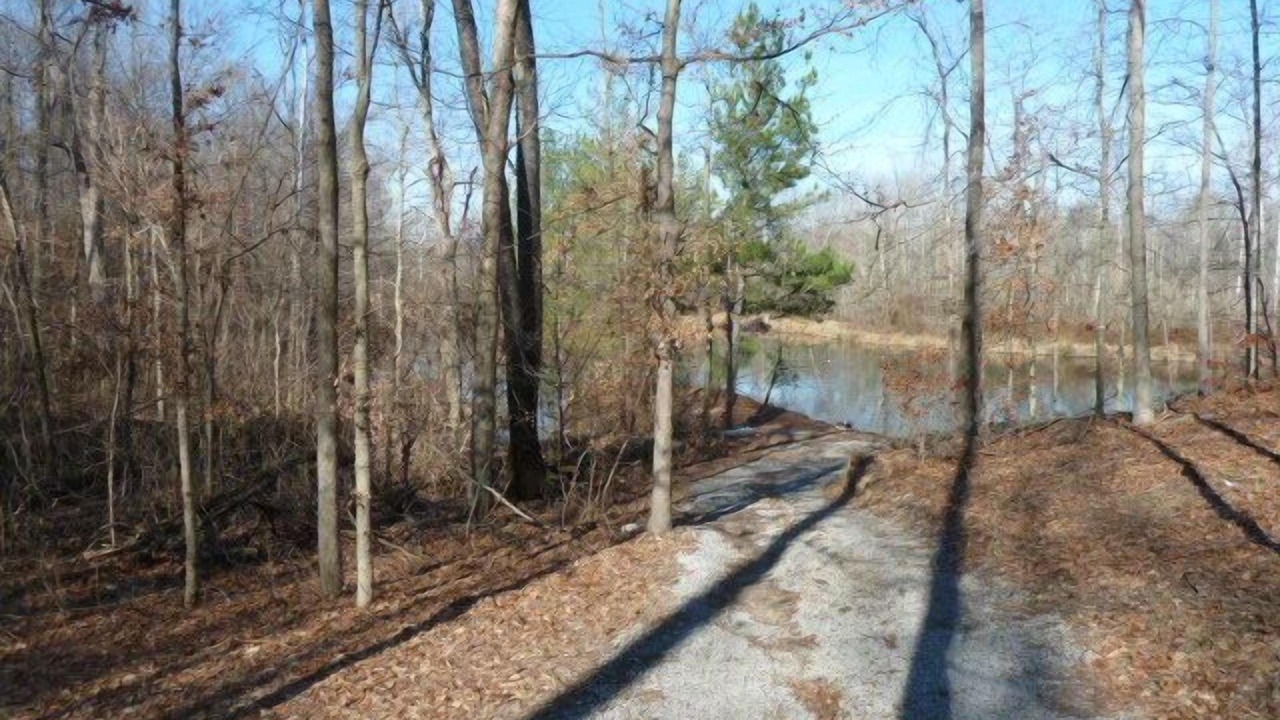 Photo of Outdoor in Carbondale