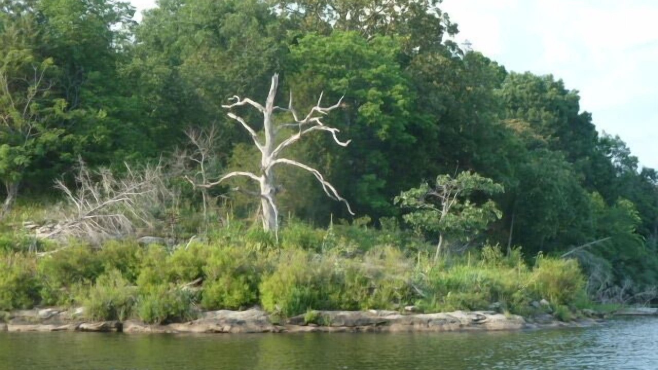 Photo of Outdoor in Carbondale
