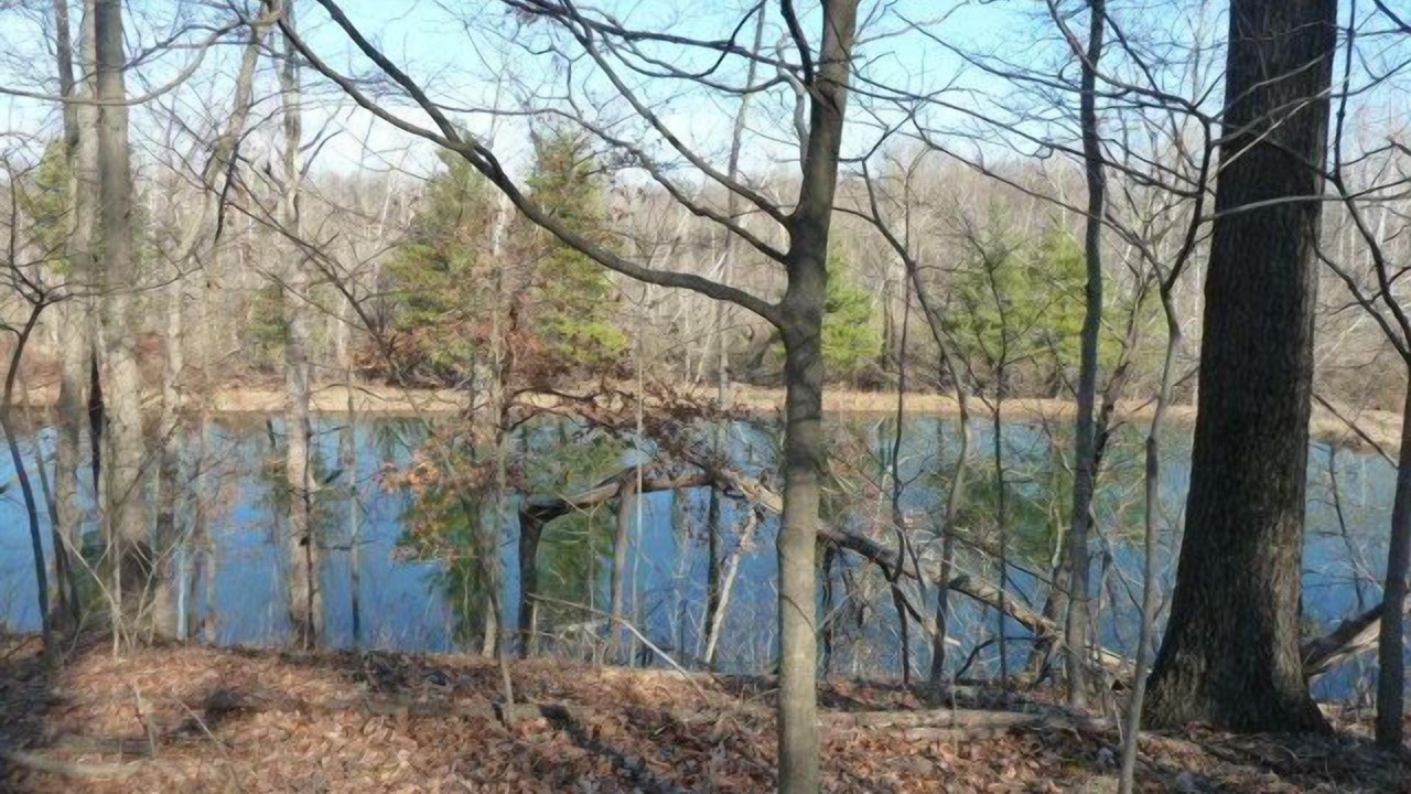 Photo of Others in Carbondale