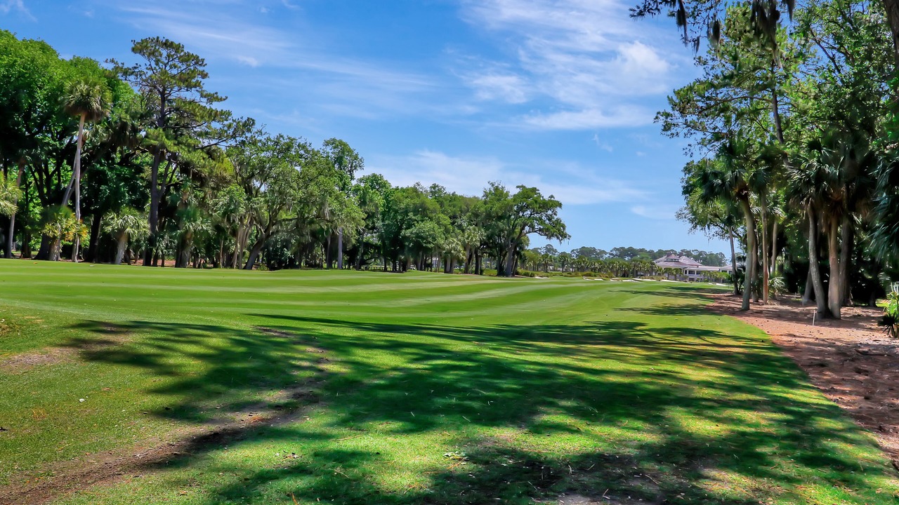 Photo of Others in Sea Pines