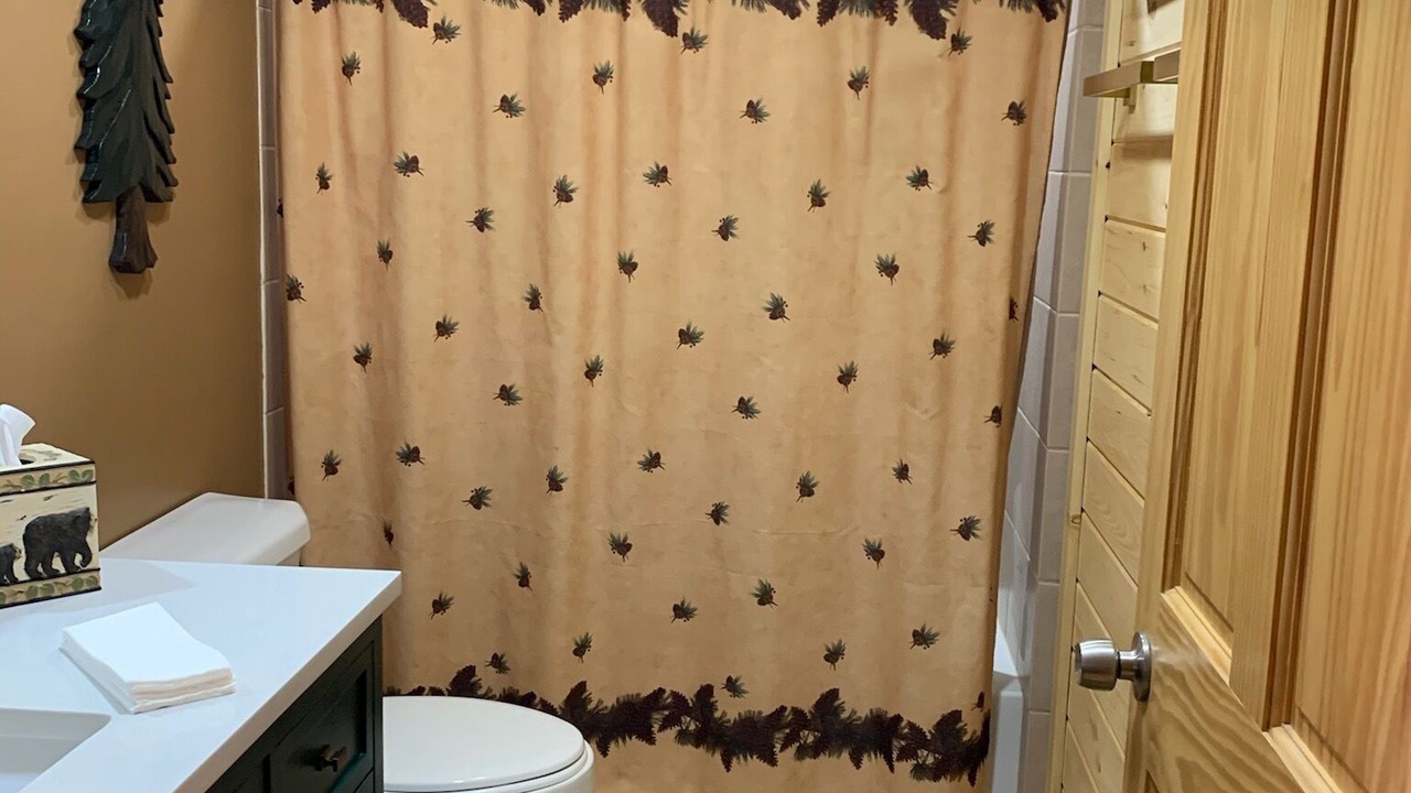 Photo of Bathroom in Town of Webb