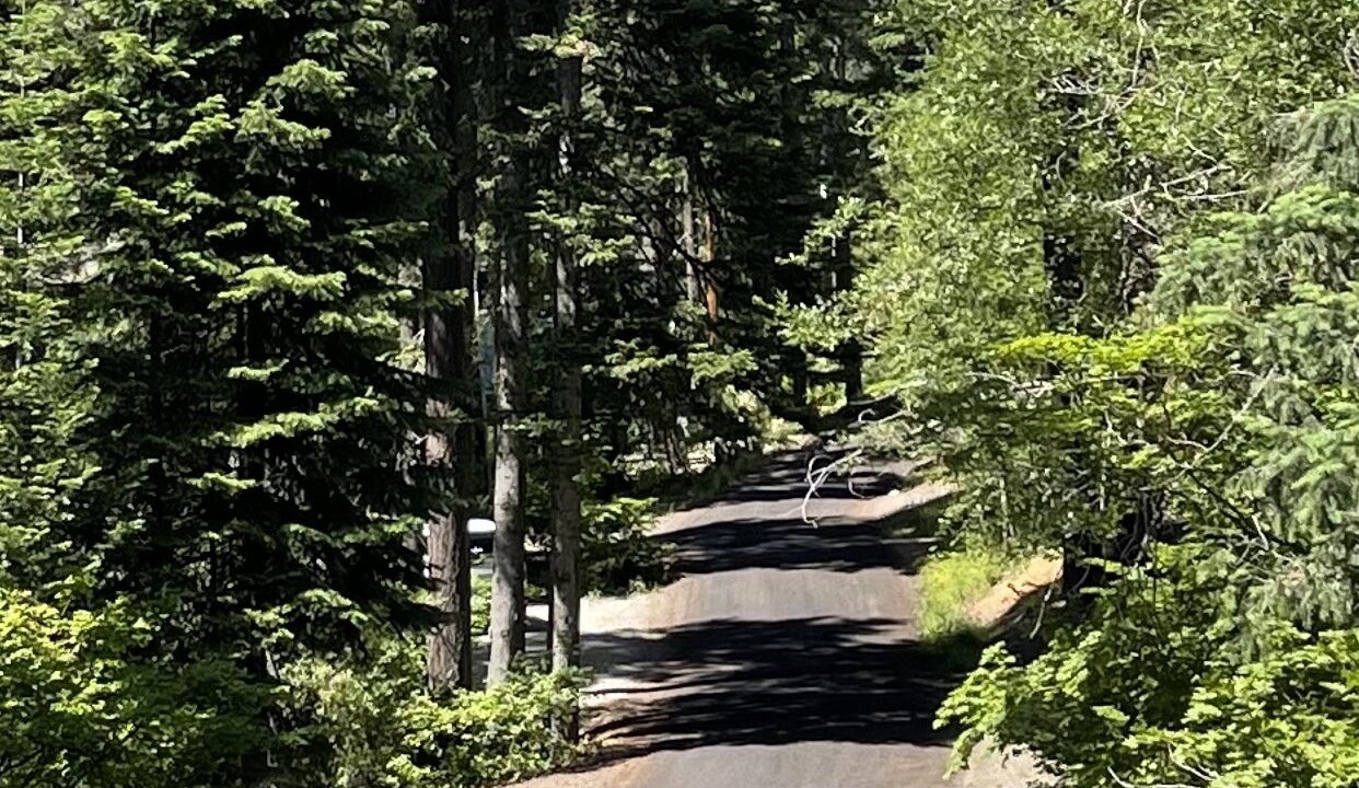 Photo of Others in Roslyn Ridge