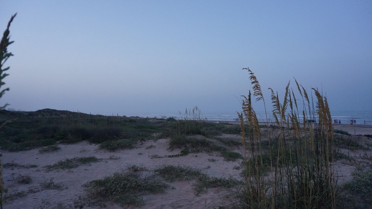 Photo of Others in South Padre Island
