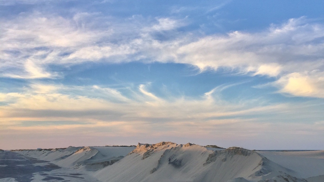 Photo of Others in South Padre Island