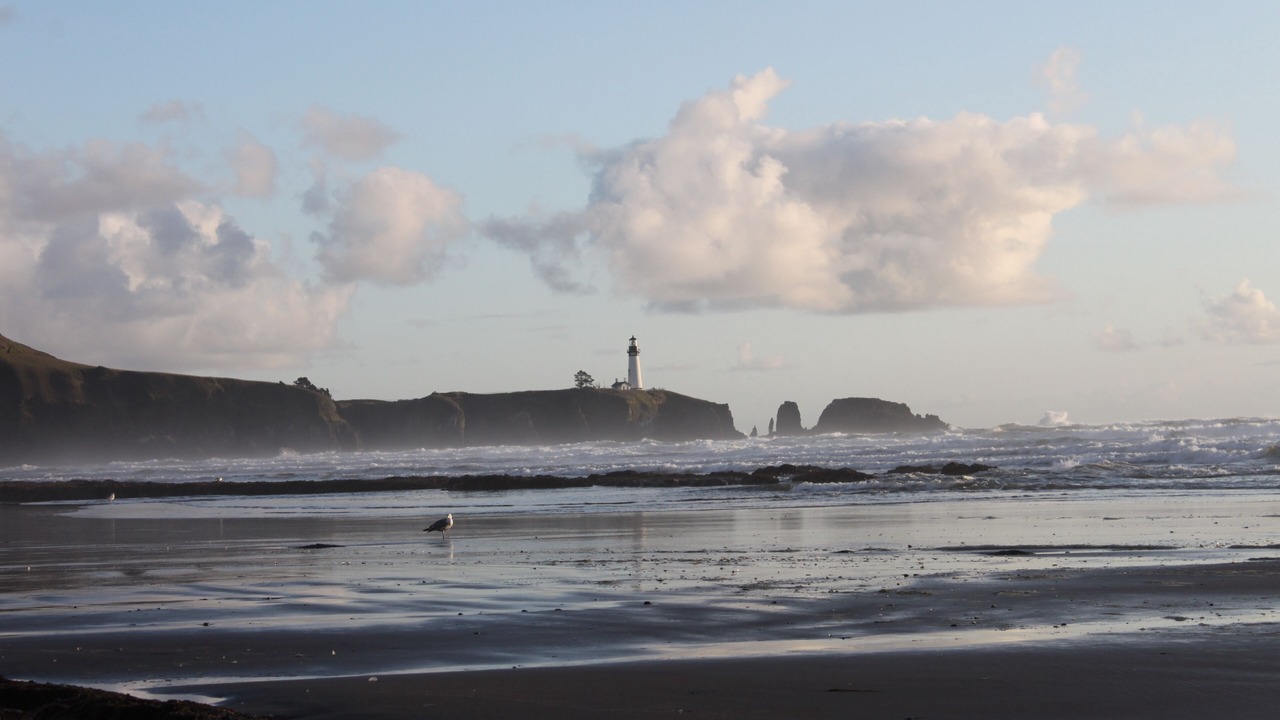 Photo of Others in Agate Beach
