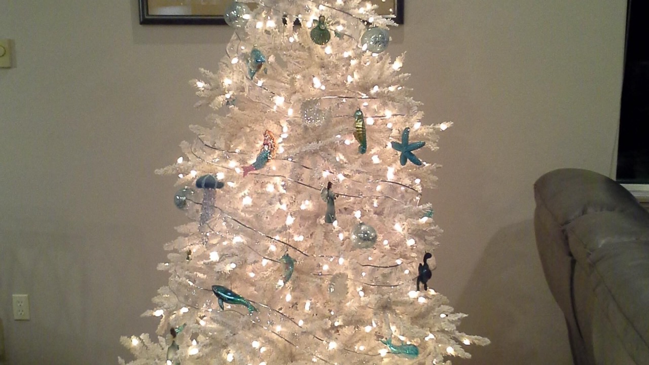 Photo of Others in Agate Beach