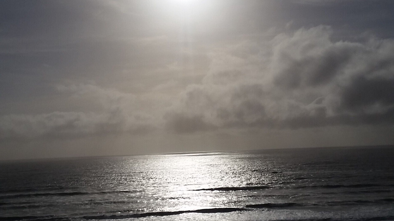 Photo of Others in Agate Beach
