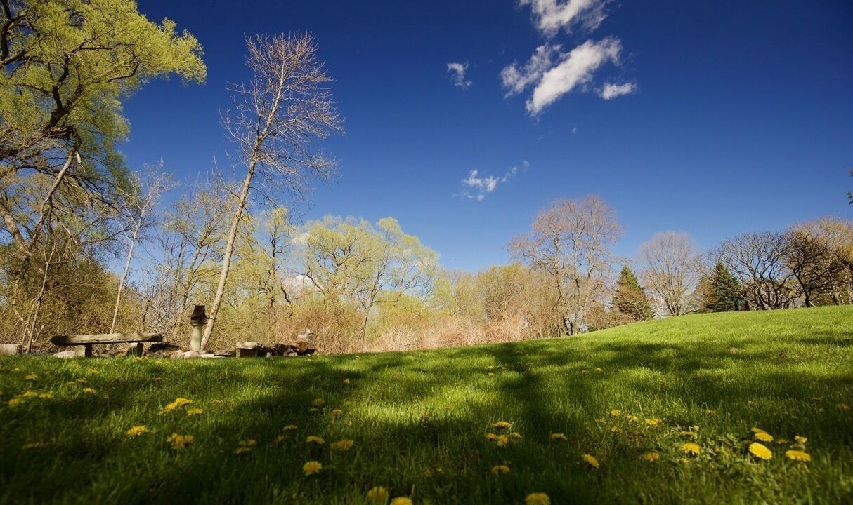 Photo of Others in Bloomfield