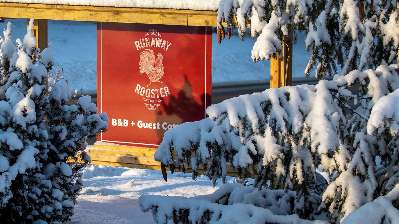 Photo of Outdoor in Bloomfield
