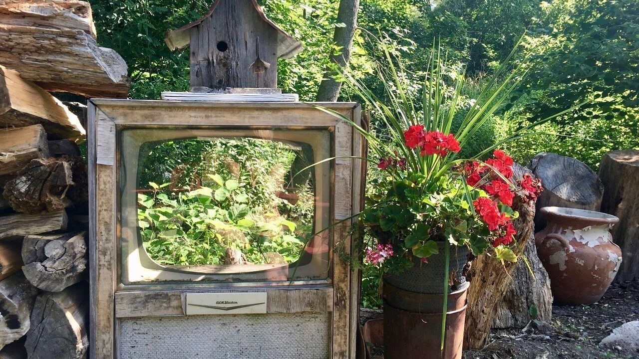 Photo of Others in Bloomfield