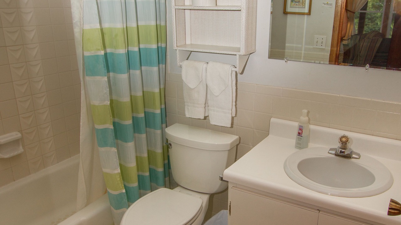 Photo of Bathroom in Black