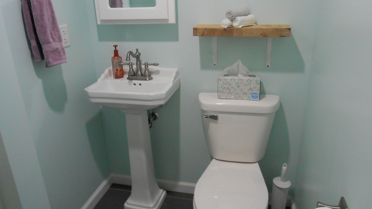 Photo of Bathroom in Gravois Mills