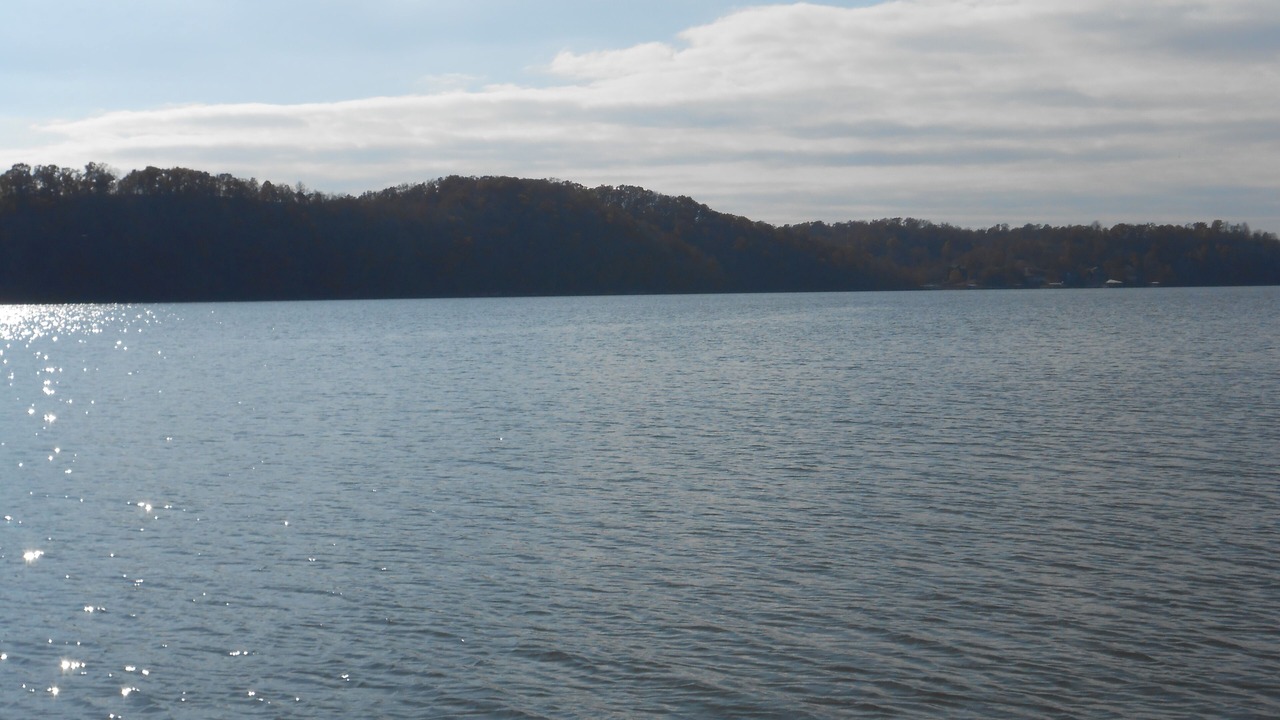 Photo of Others in Gravois Mills