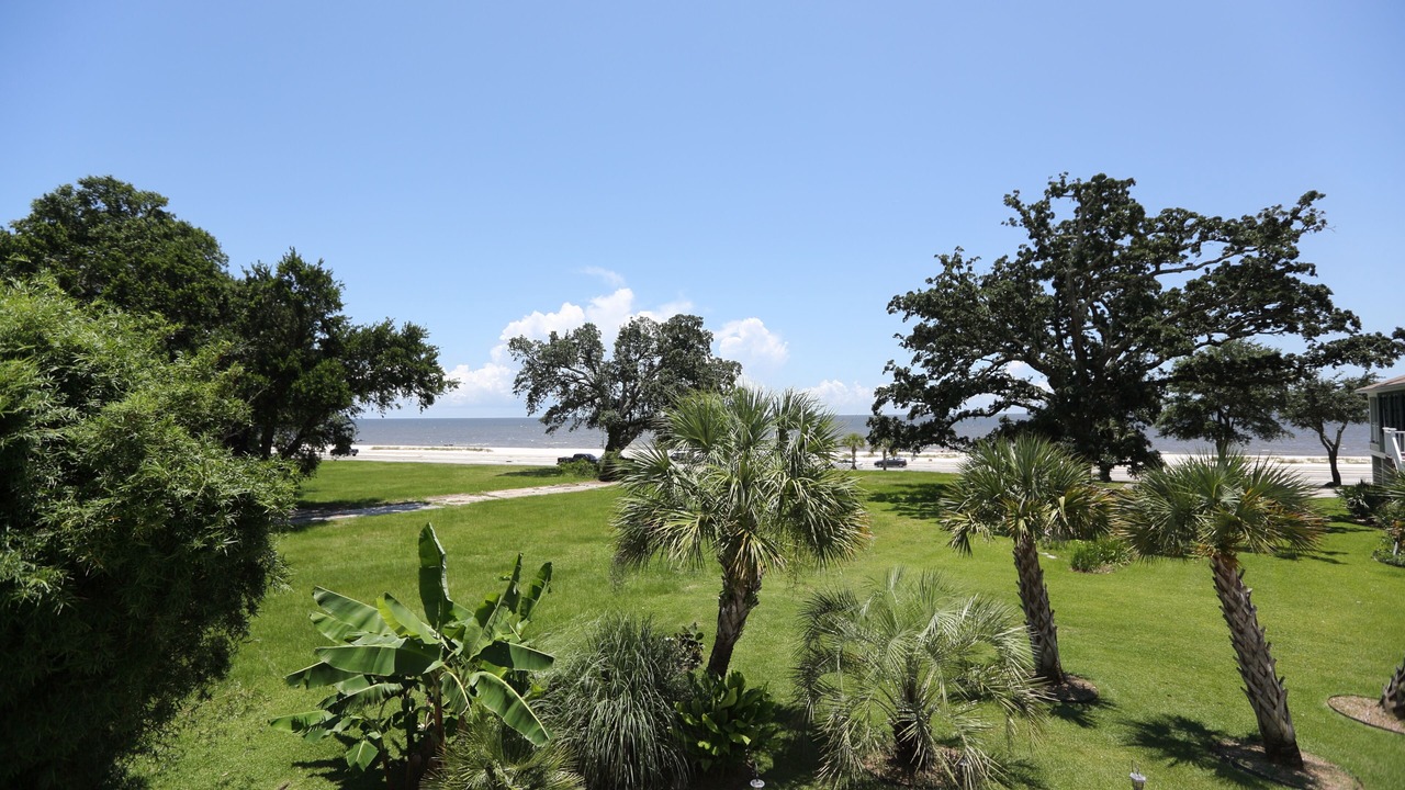 Photo of Outdoor in Gulfport