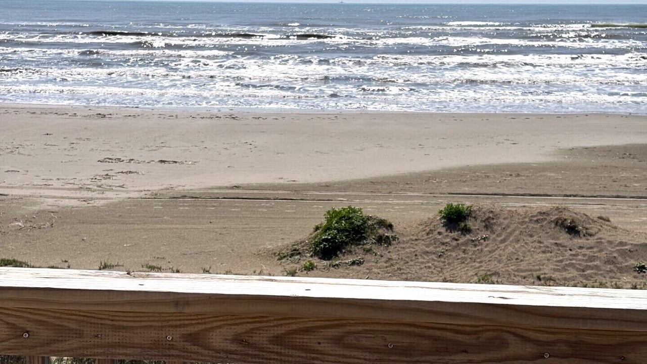 Photo of Others in Galveston