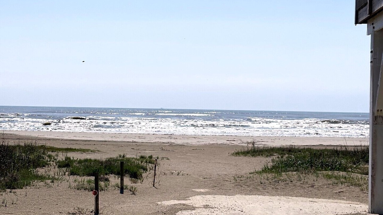 Photo of Others in Galveston